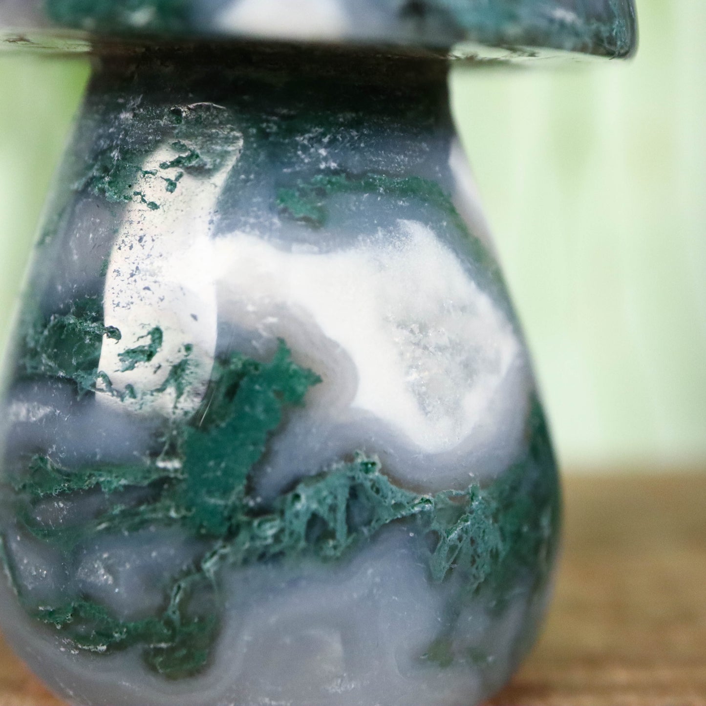 Mos agaat paddenstoel