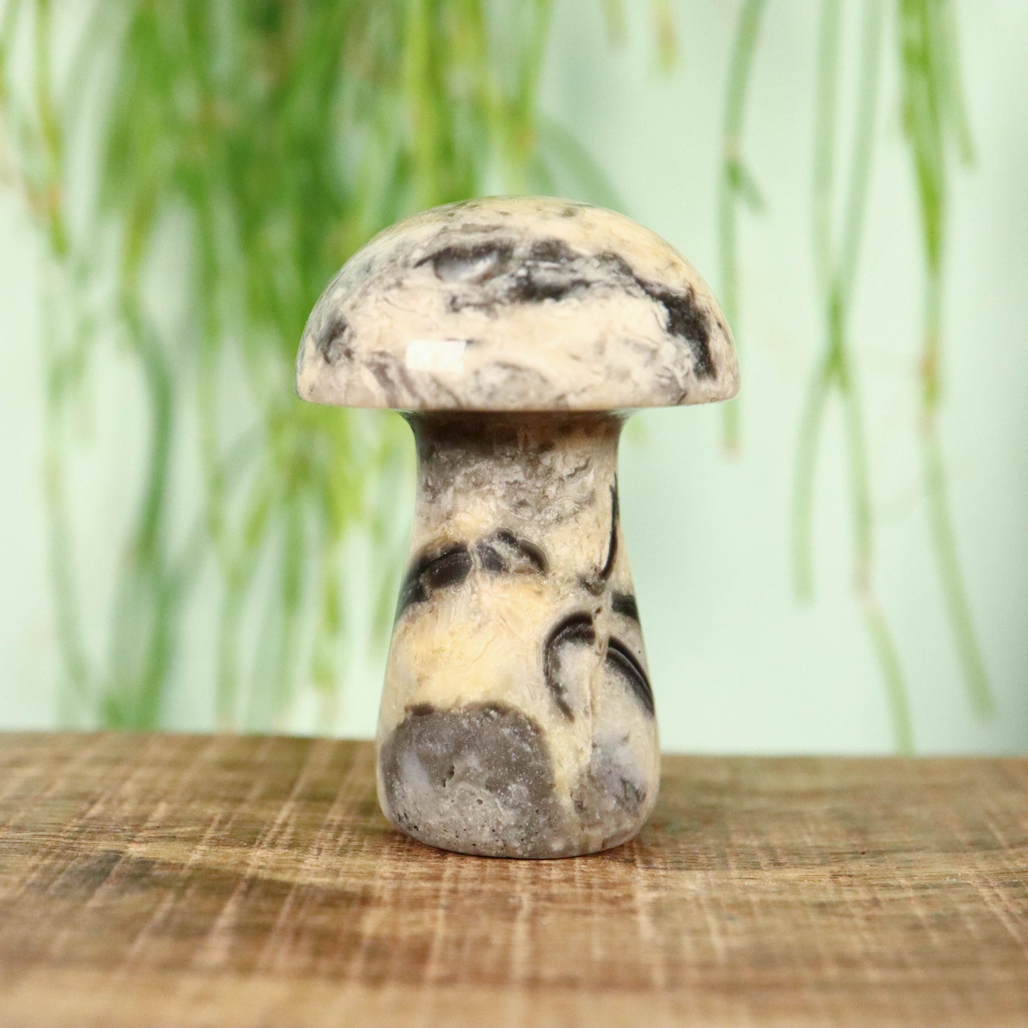 Kant agaat paddenstoel