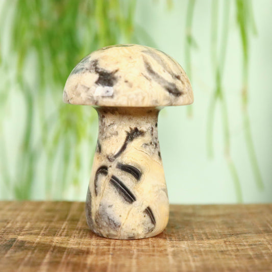 Kant agaat paddenstoel