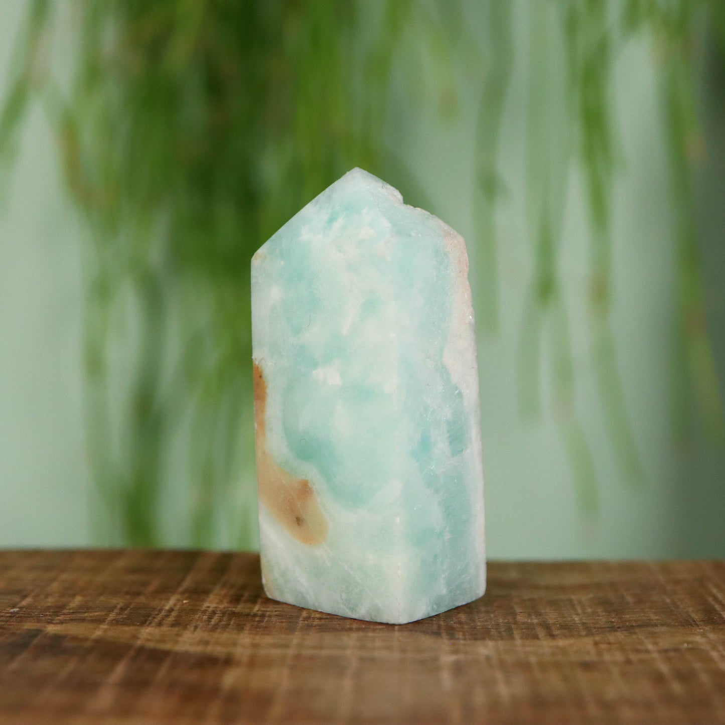 Caribbean Calciet toren