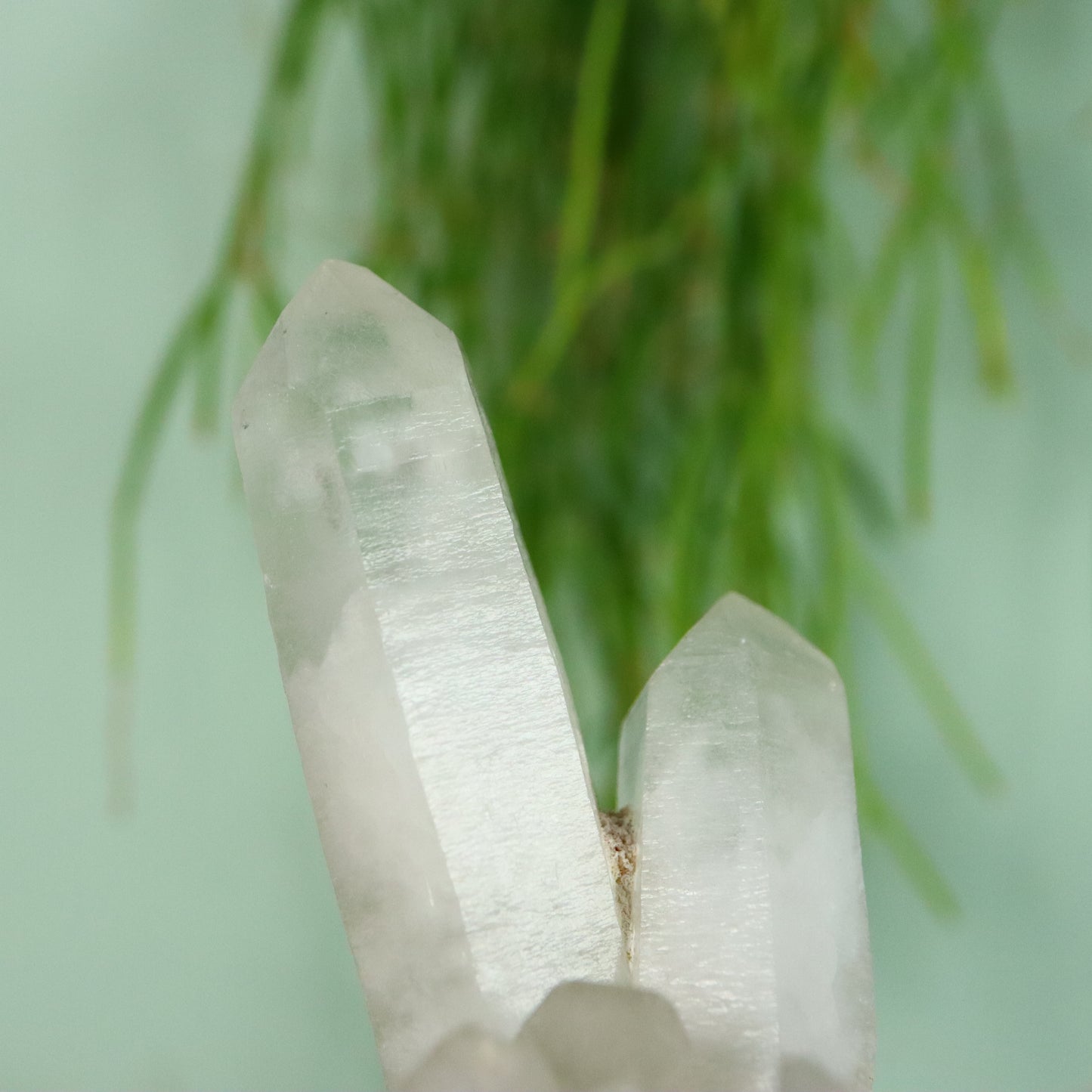 Bergkristal Kwarts cluster Madagaskar