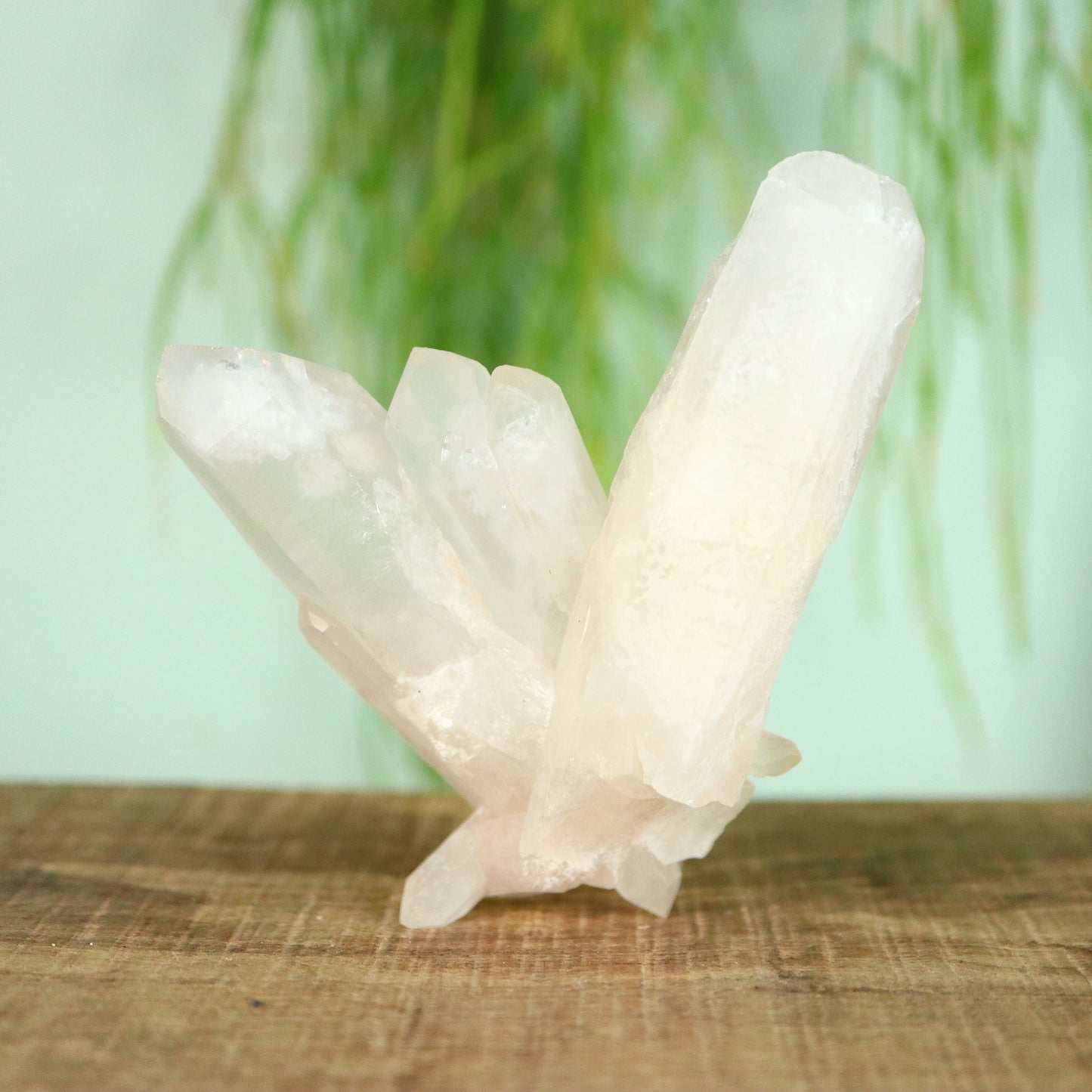 Bergkristal DT Kwarts cluster Madagaskar