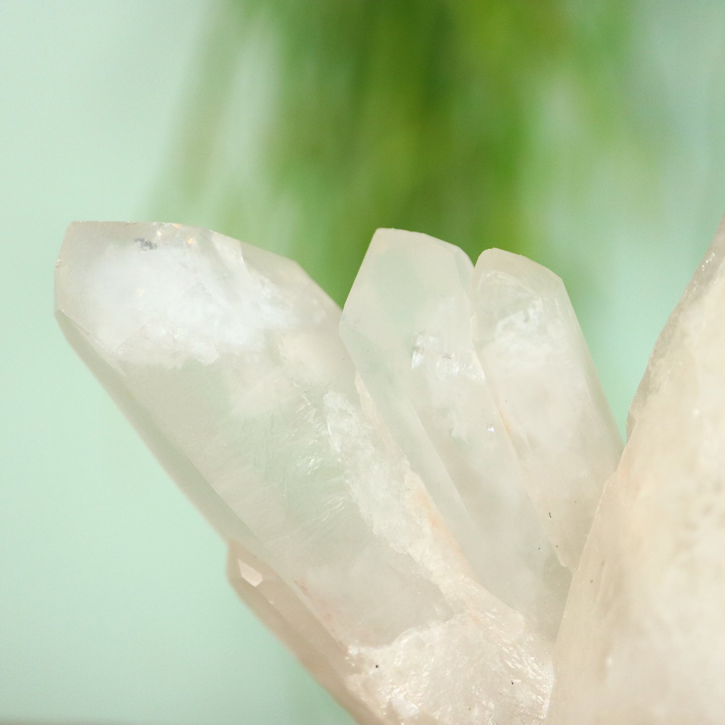 Bergkristal DT Kwarts cluster Madagaskar