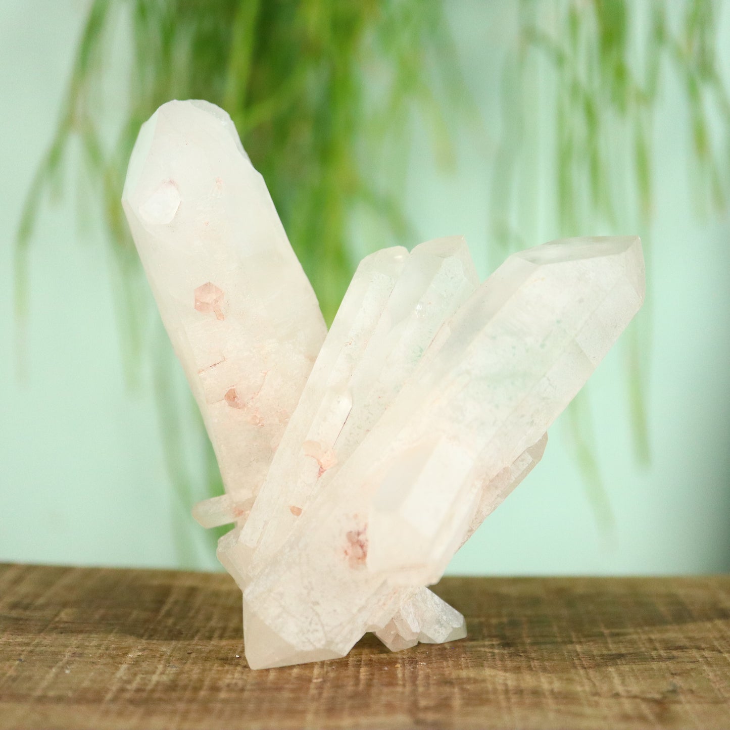 Bergkristal DT Kwarts cluster Madagaskar