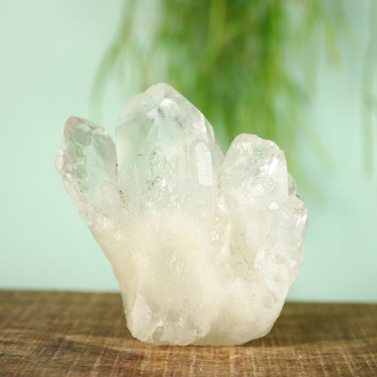 Bergkristal artichoke Kwarts cluster