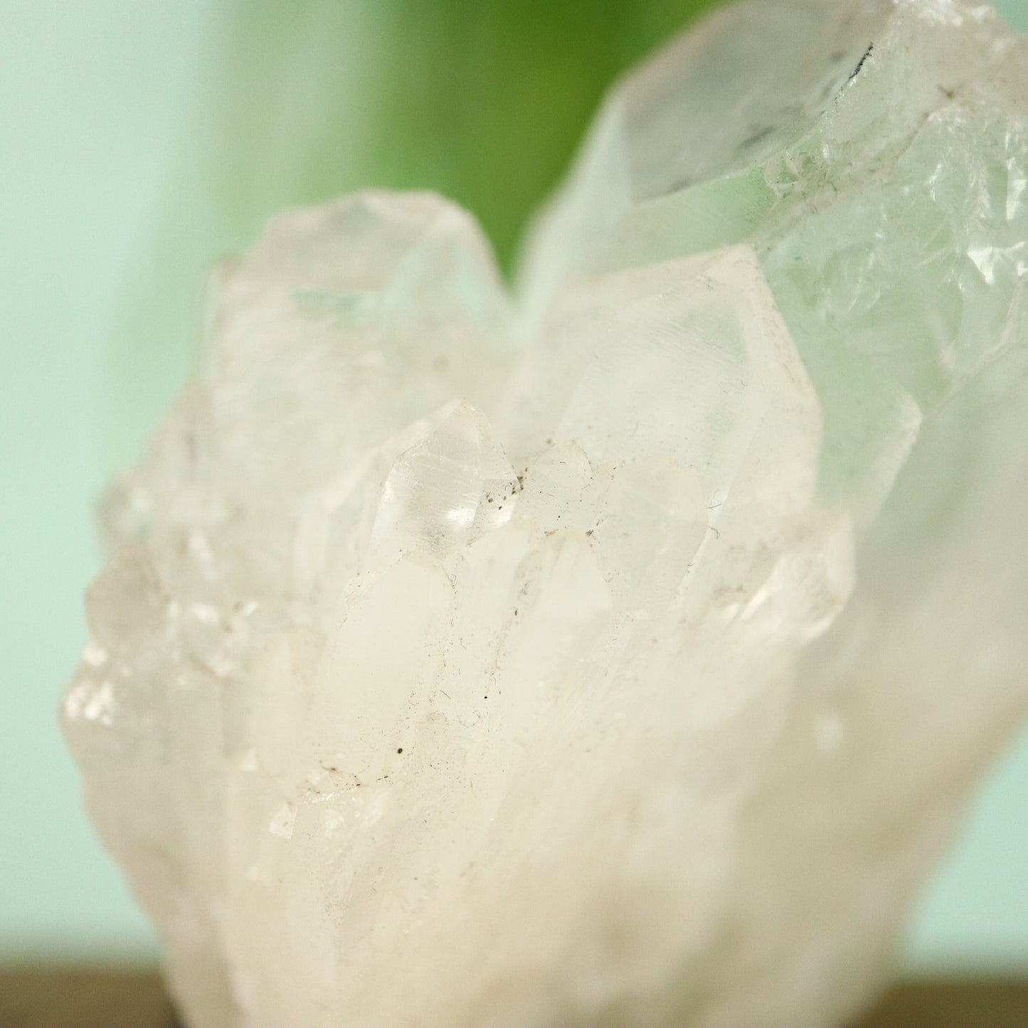 Bergkristal artichoke Kwarts cluster