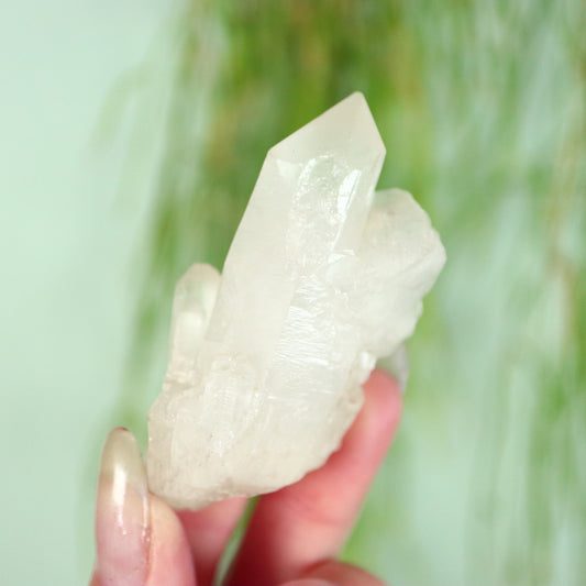 Bergkristal artichoke Kwarts cluster