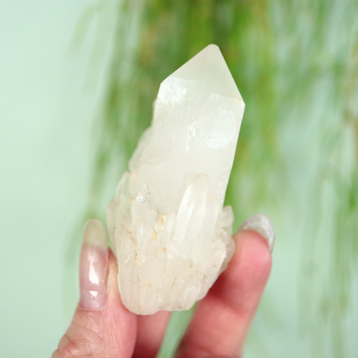 Bergkristal artichoke Kwarts cluster