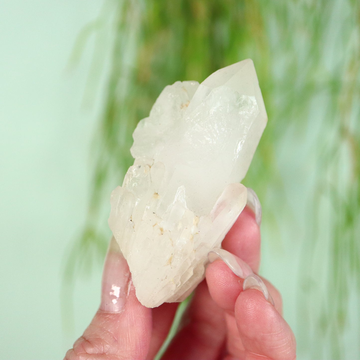 Bergkristal artichoke Kwarts cluster