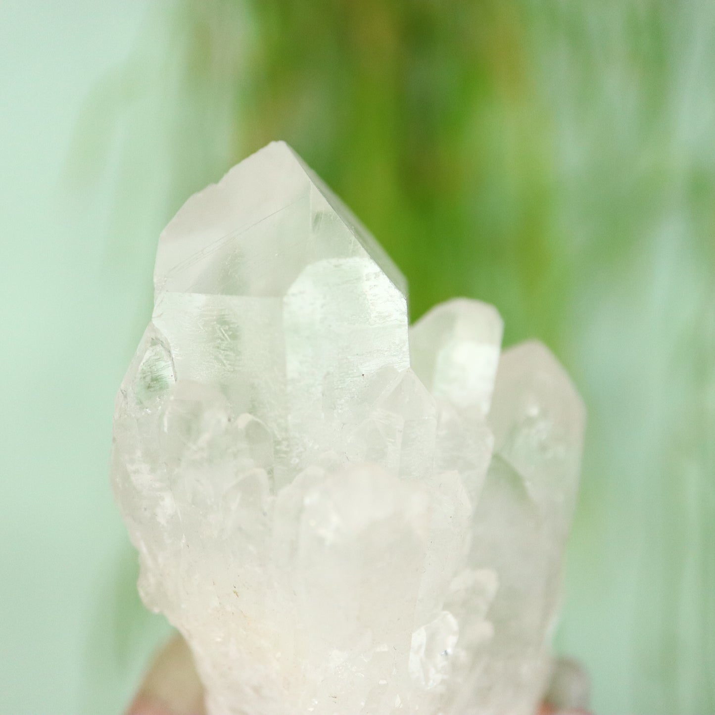 Bergkristal artichoke Kwarts cluster