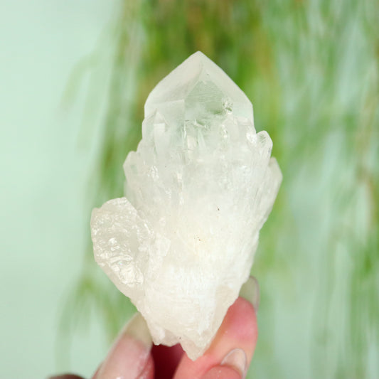 Bergkristal artichoke Kwarts cluster