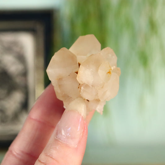 Madagaskar DT kwarts cluster