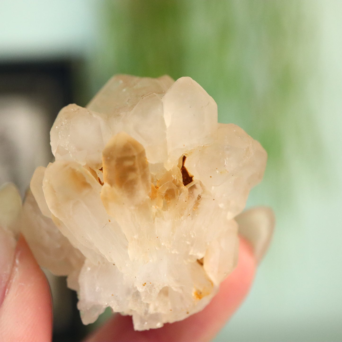 Madagaskar DT kwarts cluster