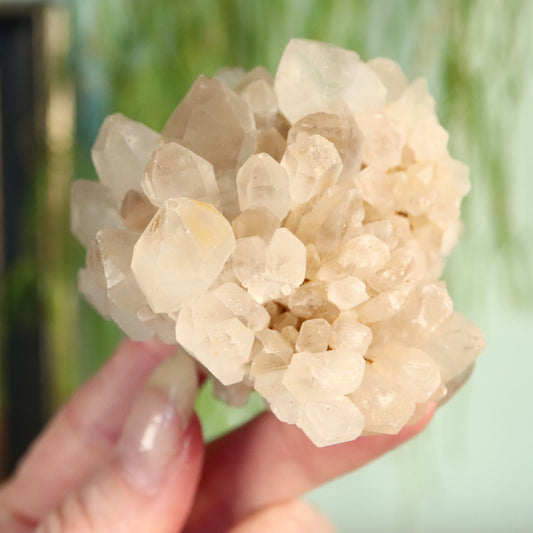 Madagaskar DT kwarts cluster