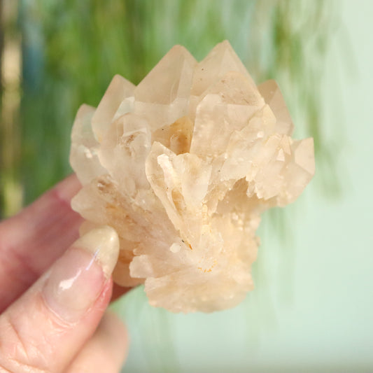 Madagaskar DT kwarts cluster