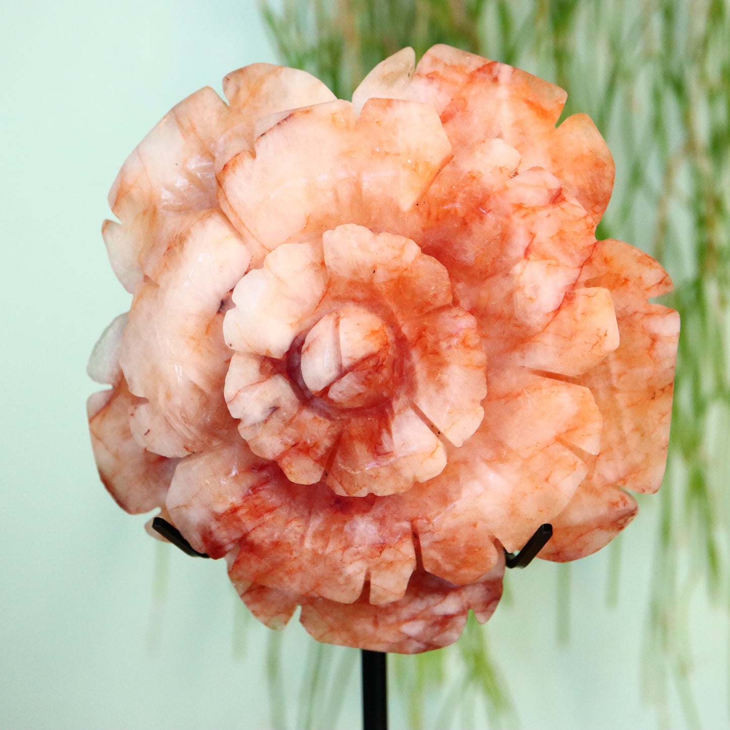 Bloem Hematoide kwarts ‘Red Healer/vuurkwarts’