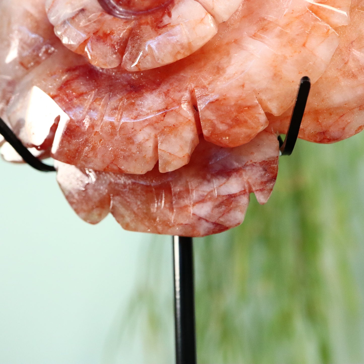 Bloem Hematoide kwarts ‘Red Healer/vuurkwarts’