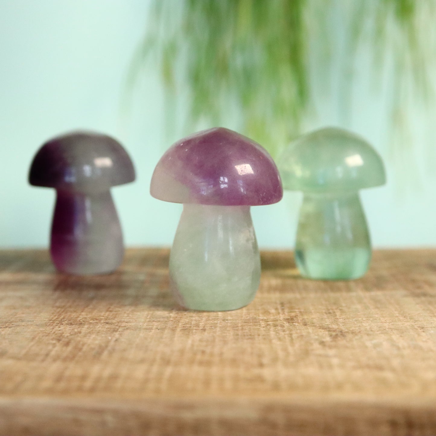 Fluoriet paddenstoel