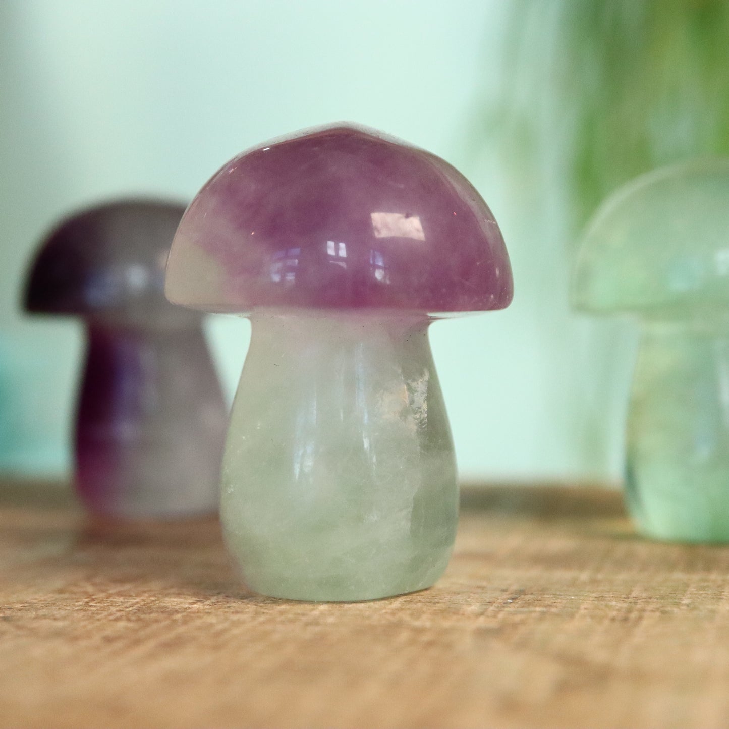 Fluoriet paddenstoel