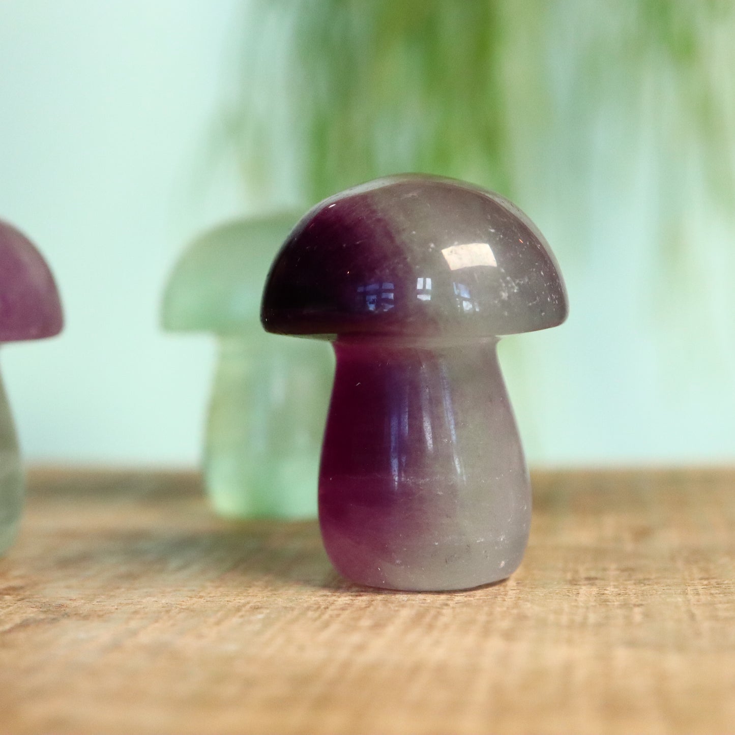 Fluoriet paddenstoel