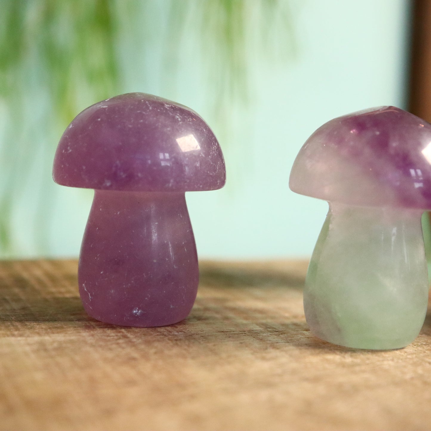 Fluoriet paddenstoel