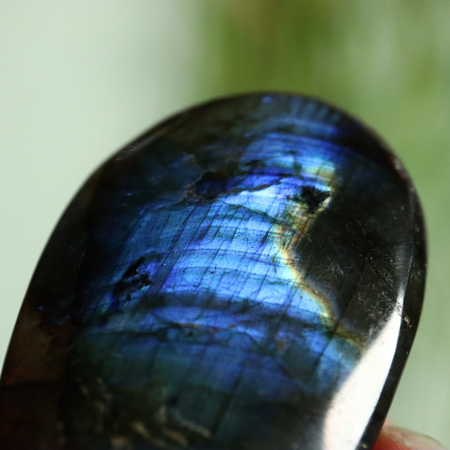 Labradoriet palmsteen