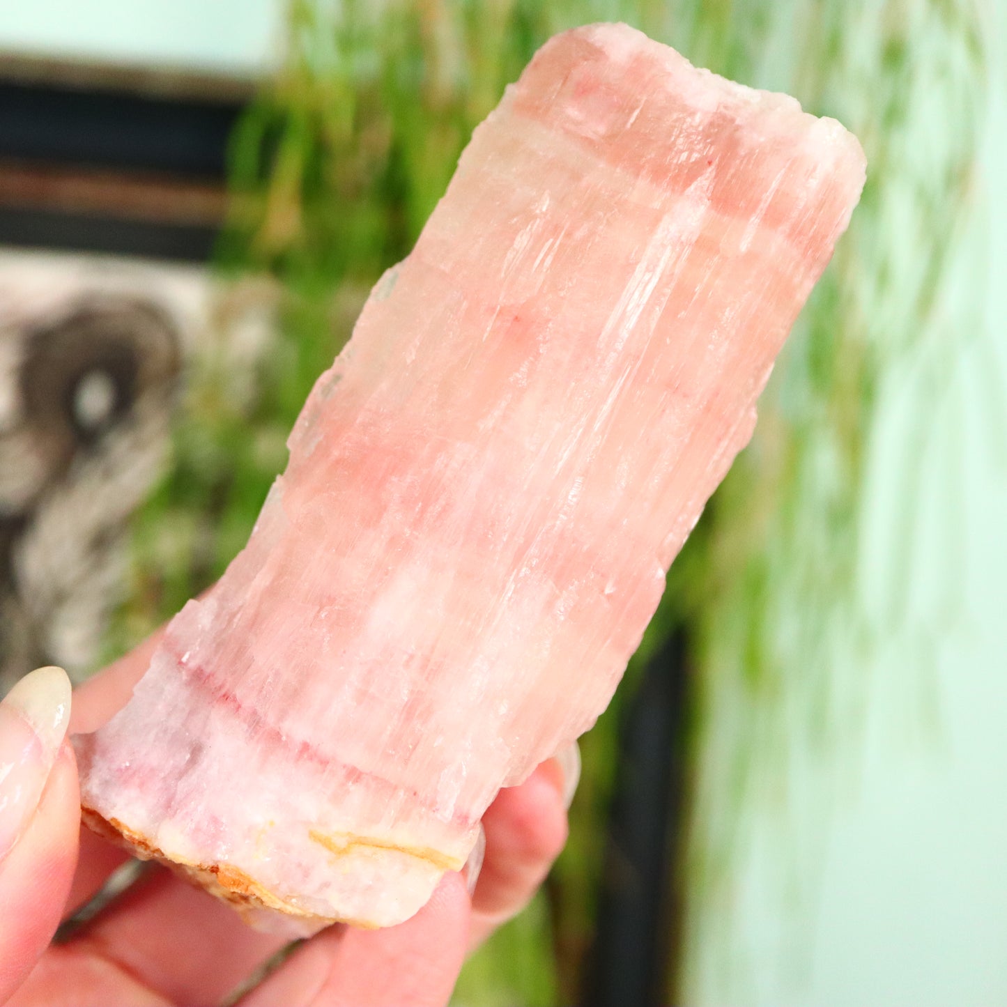 Ruwe Roze calciet