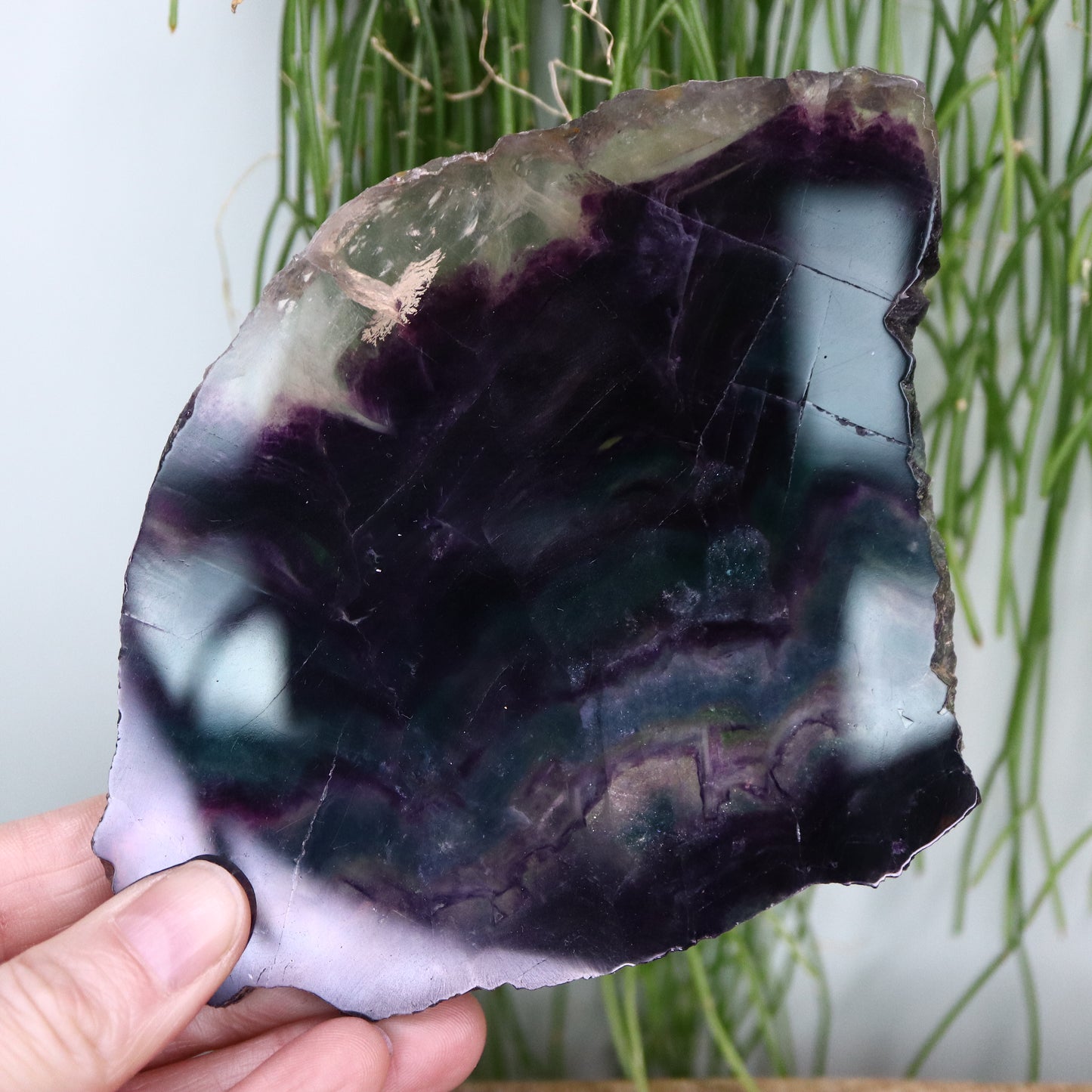 Fluorite slab