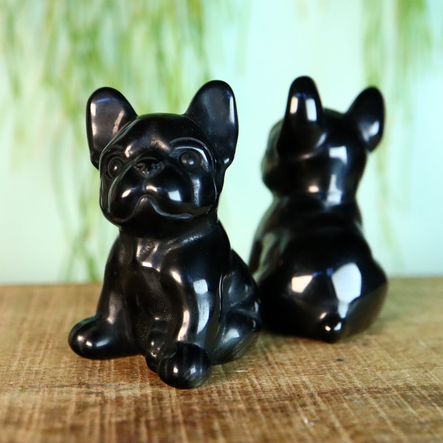 French bulldog obsidiaan