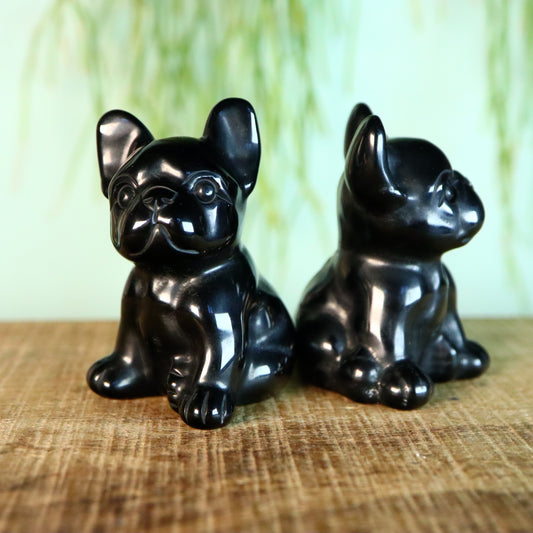 French bulldog obsidiaan