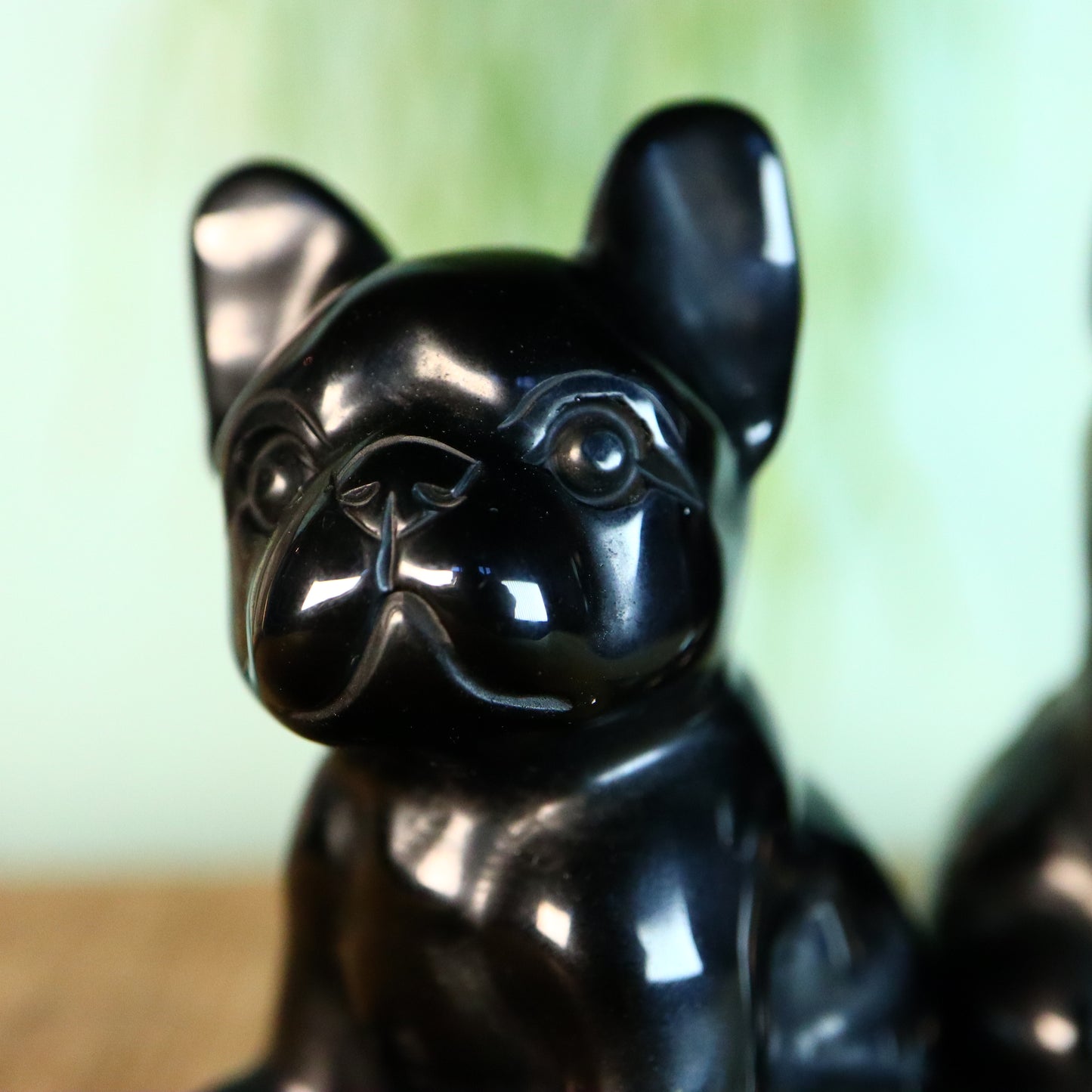 French bulldog obsidiaan