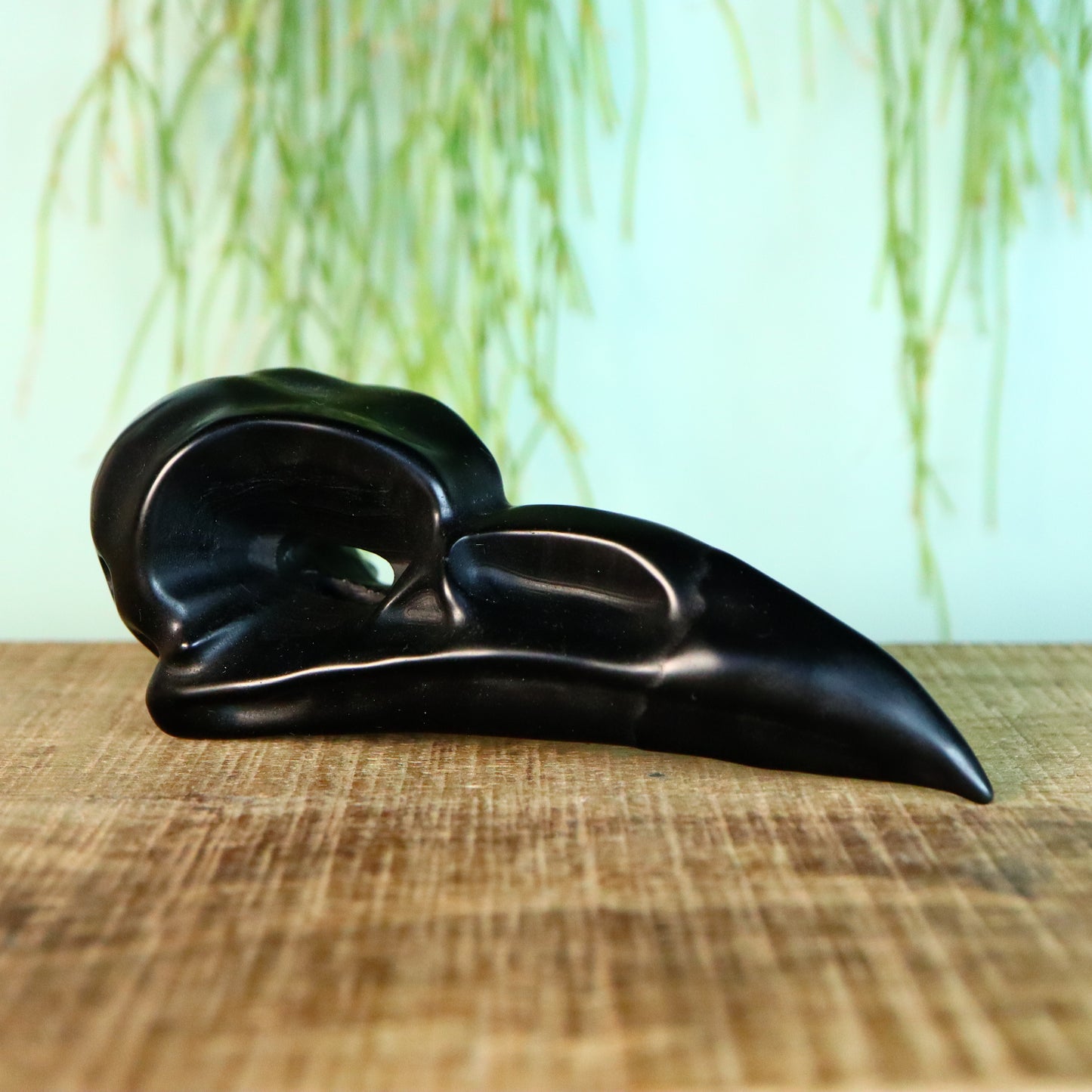 Raaf schedel obsidiaan