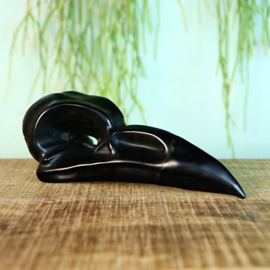 Raaf schedel obsidiaan