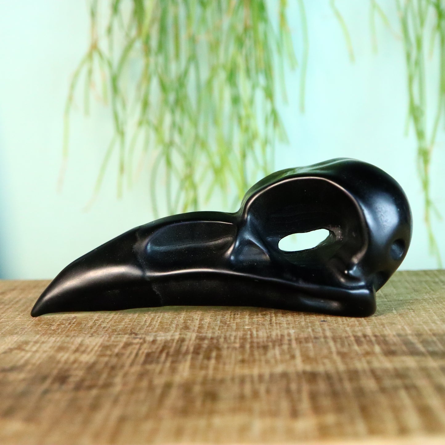 Raaf schedel obsidiaan
