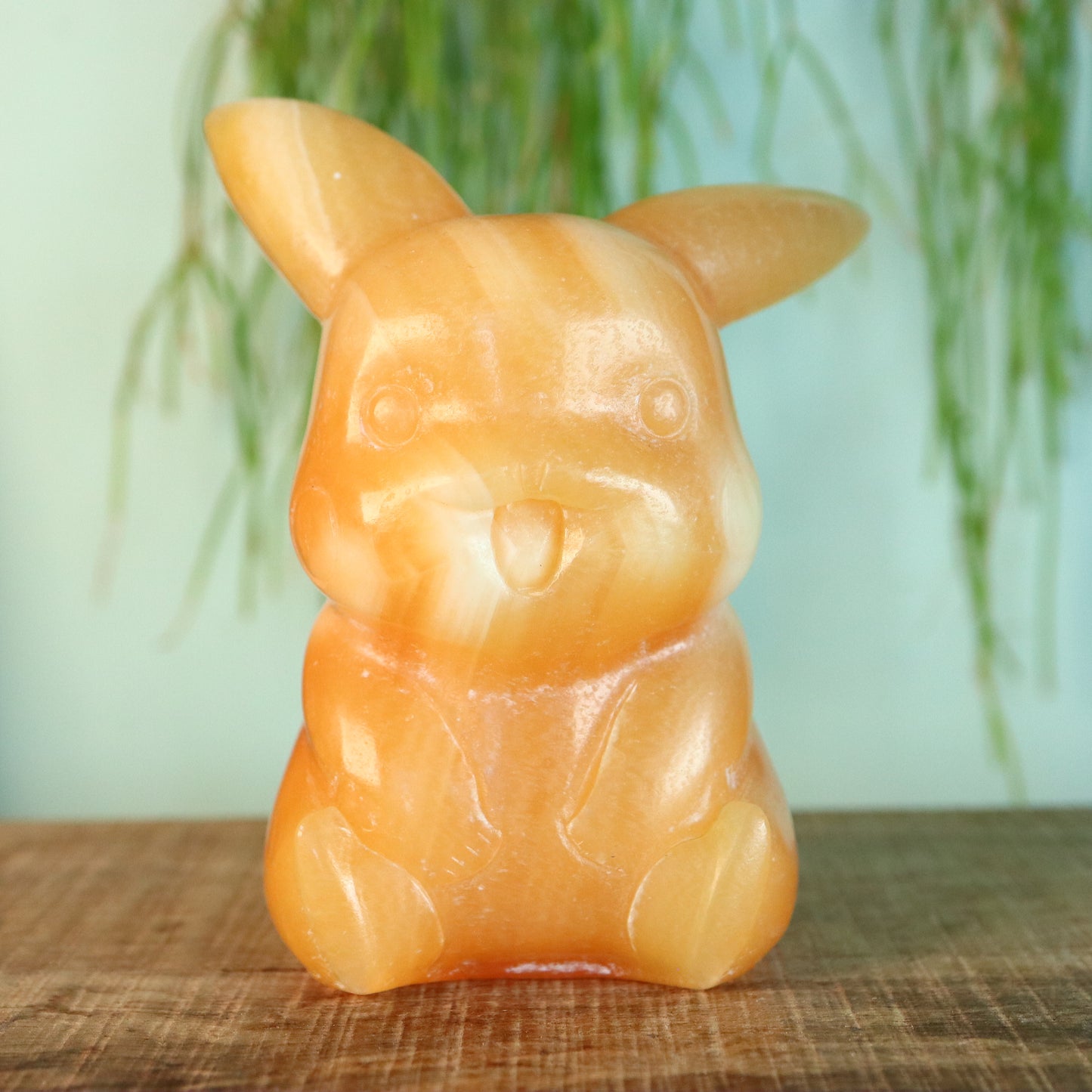 Pikachu Calciet