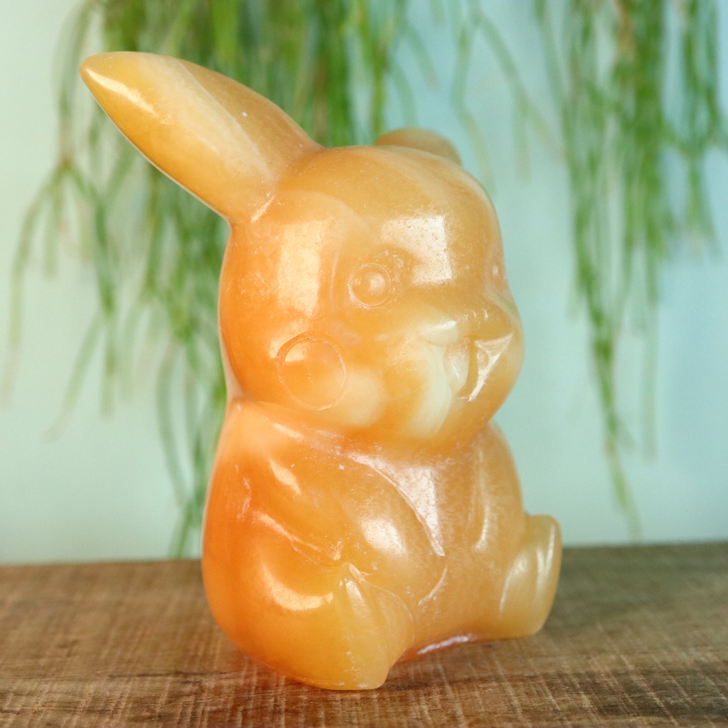 Pikachu Calciet