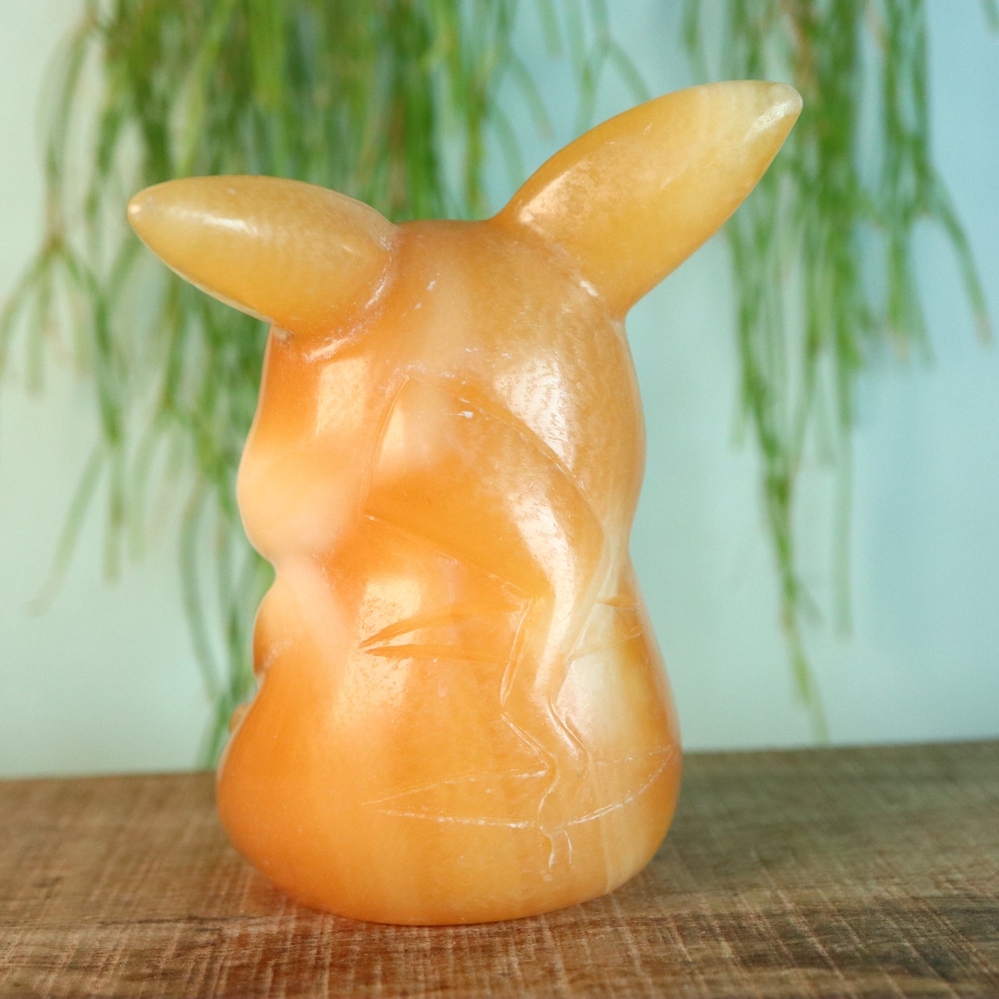 Pikachu Calciet