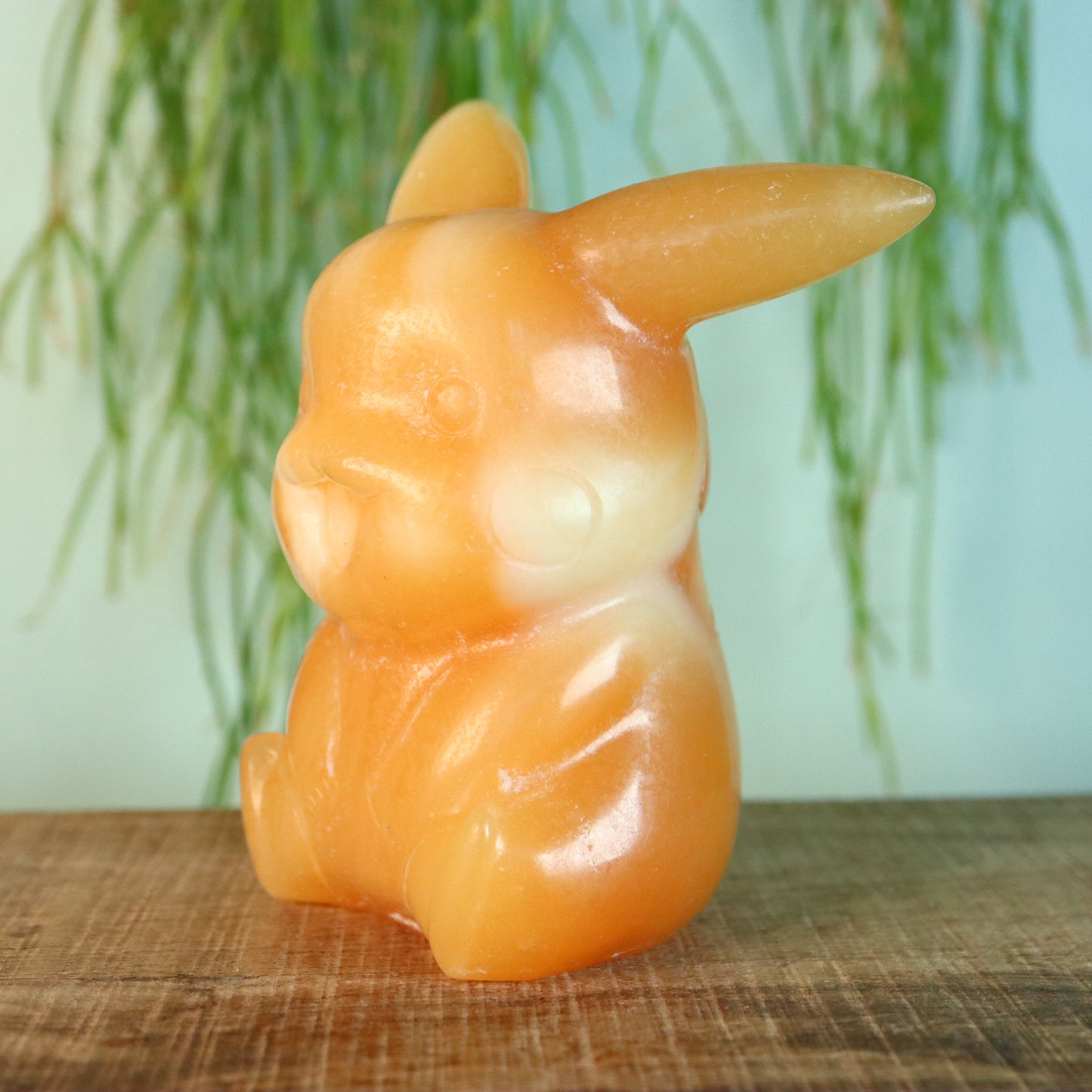Pikachu Calciet
