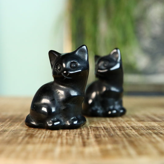 katje zittend Obsidiaan