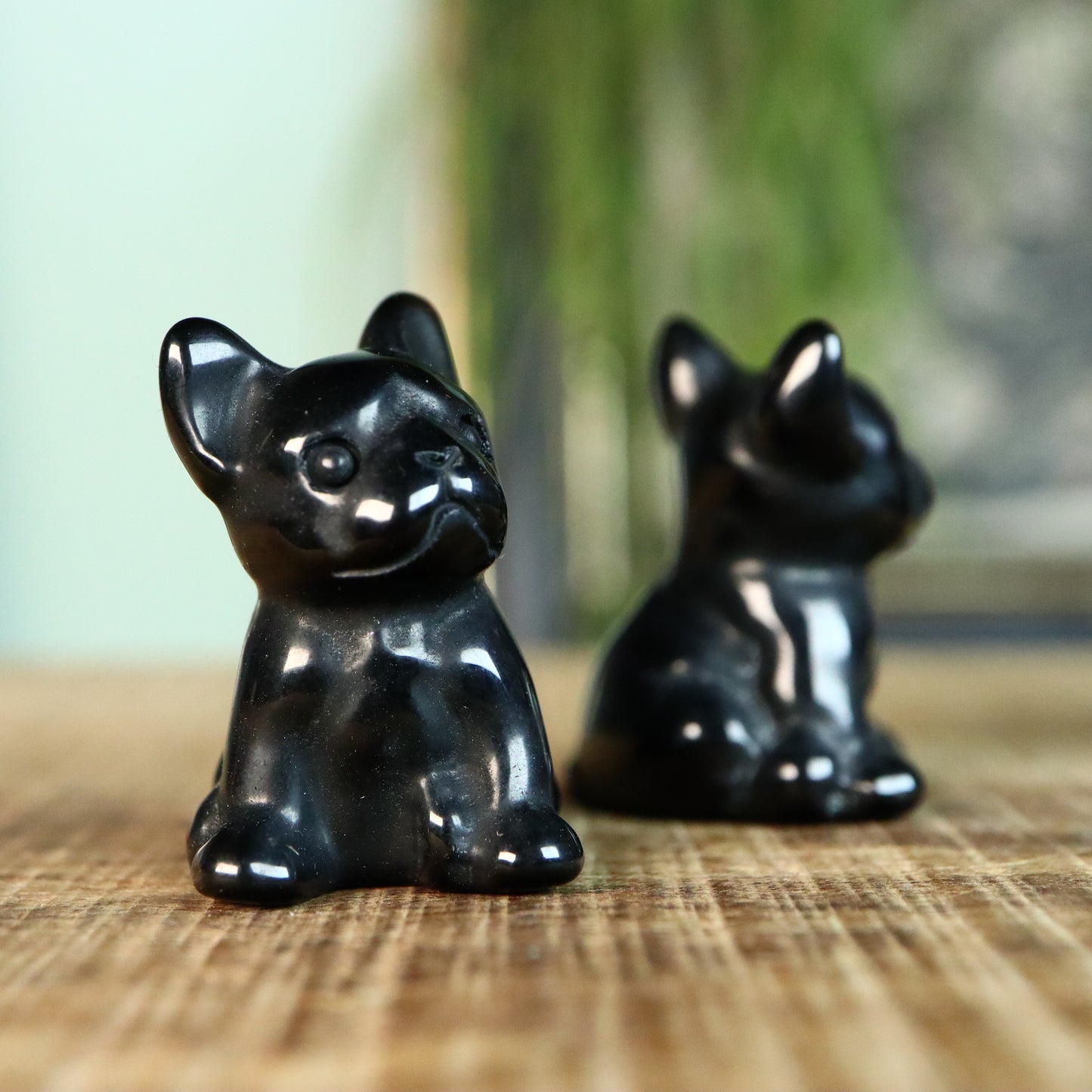 French bulldog zittend Obsidiaan