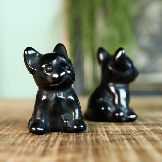 French bulldog zittend Obsidiaan