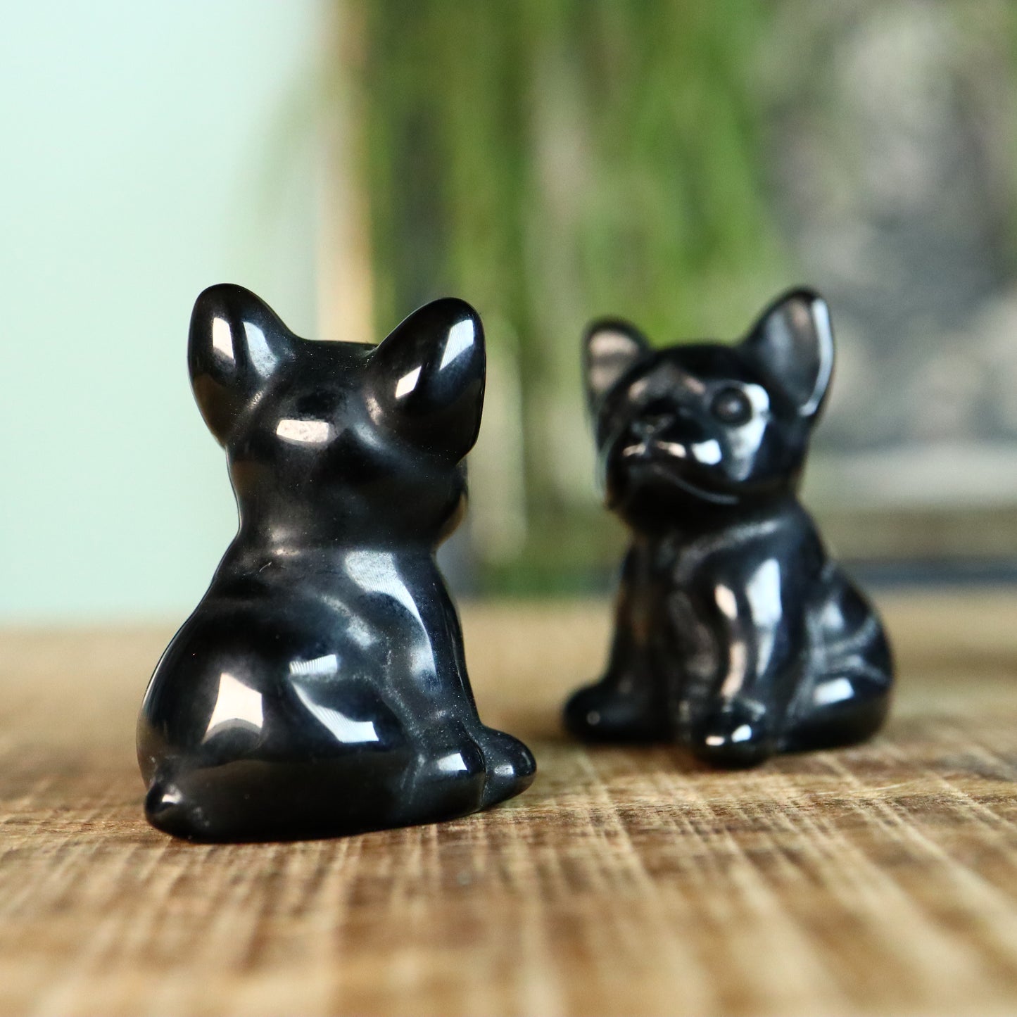 French bulldog zittend Obsidiaan