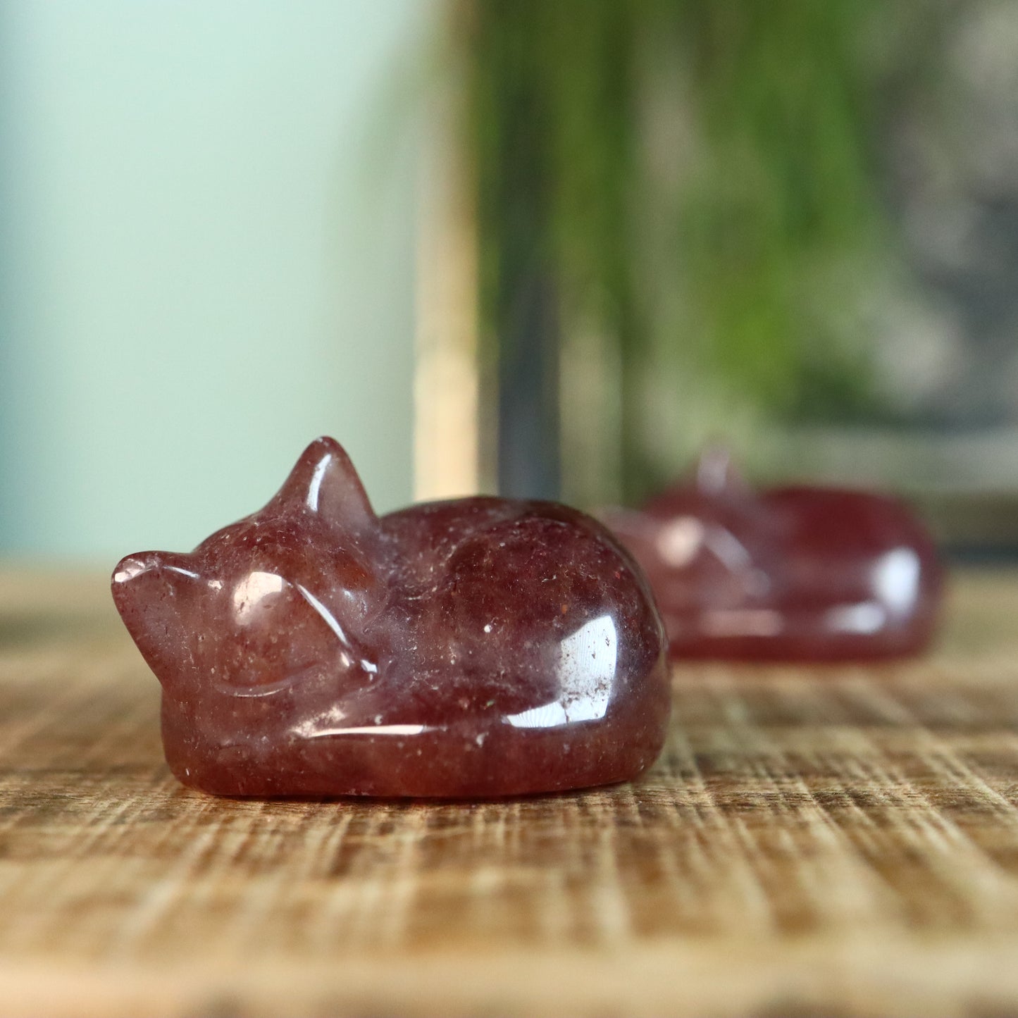 Katje liggend aardbeien kwarts
