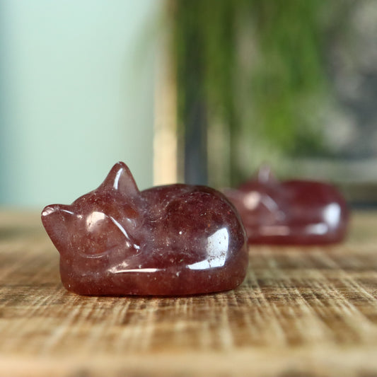 Katje liggend aardbeien kwarts