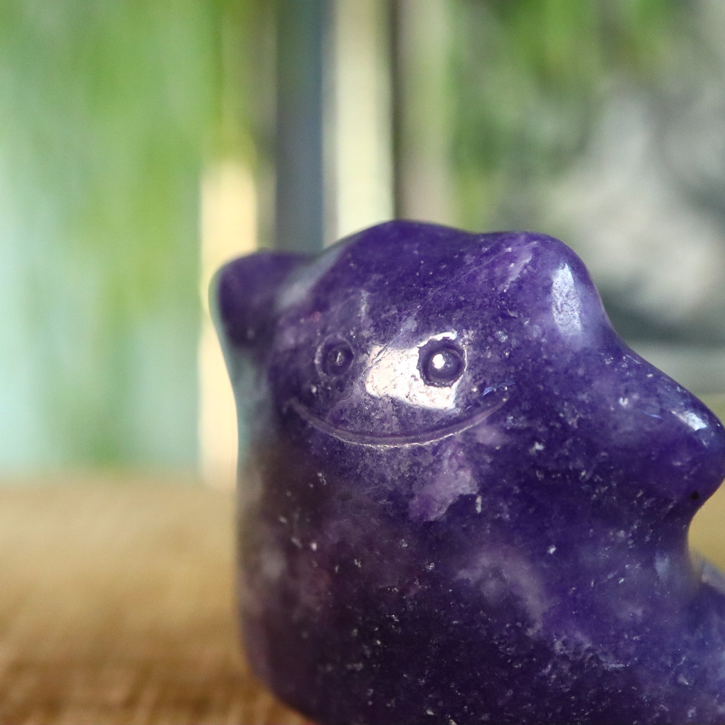 Ditto Lepidoliet