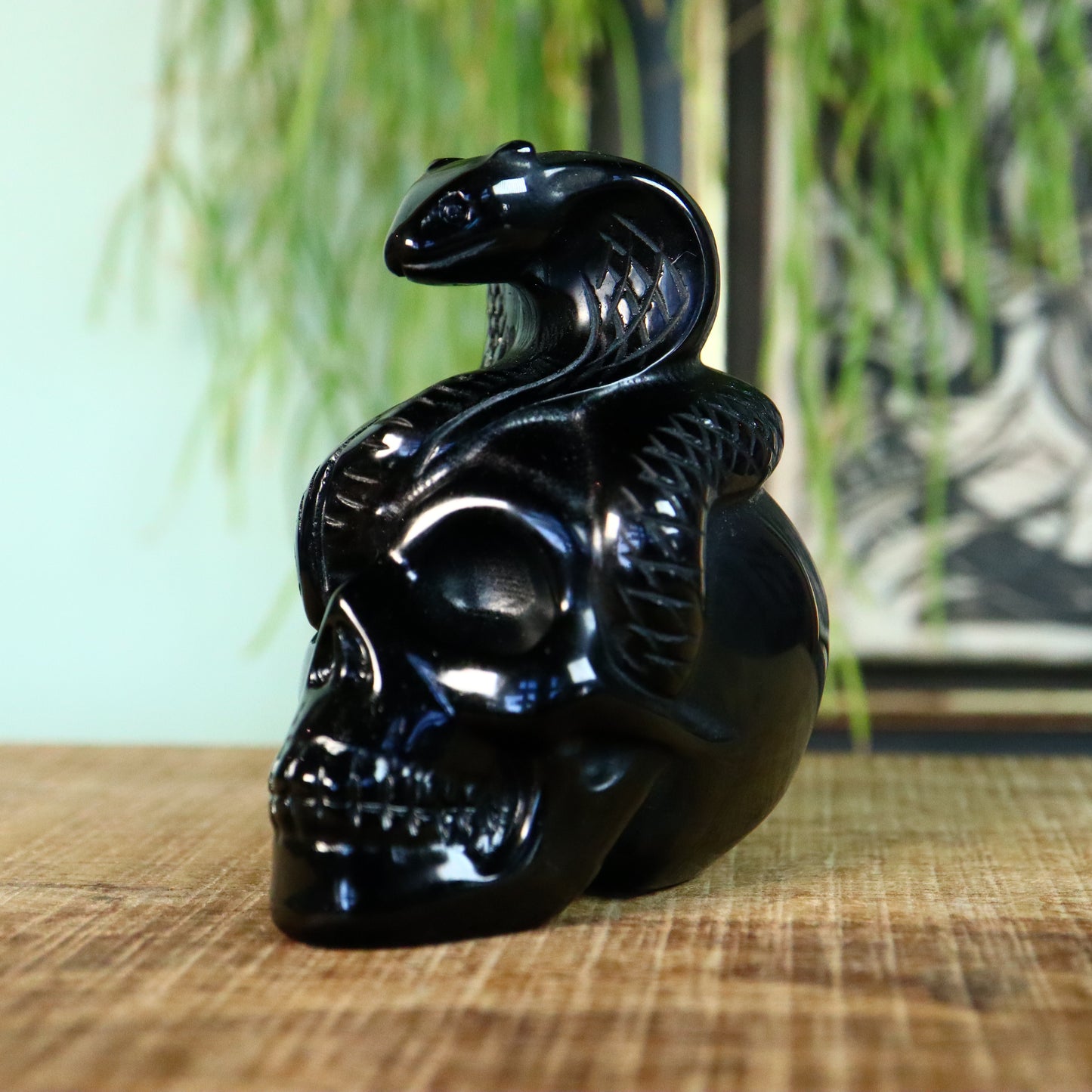 Obsidiaan Schedel met slang