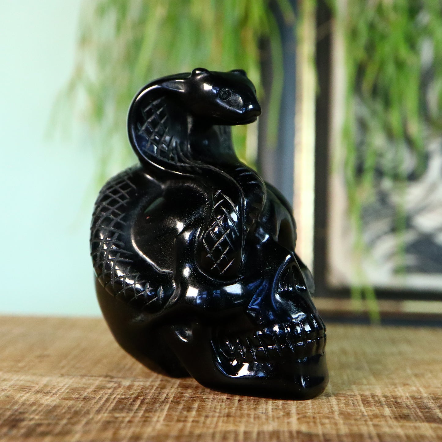 Obsidiaan Schedel met slang