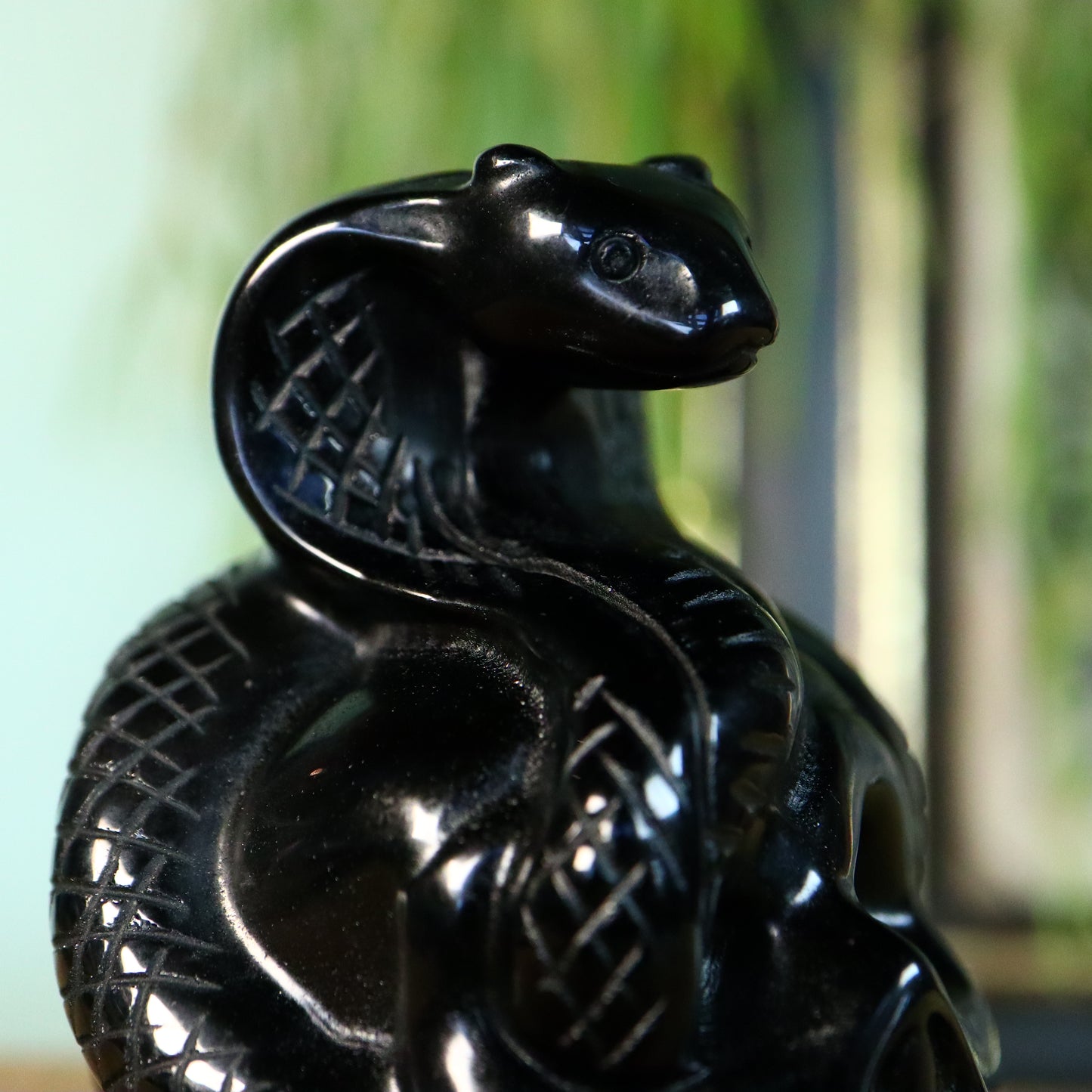 Obsidiaan Schedel met slang
