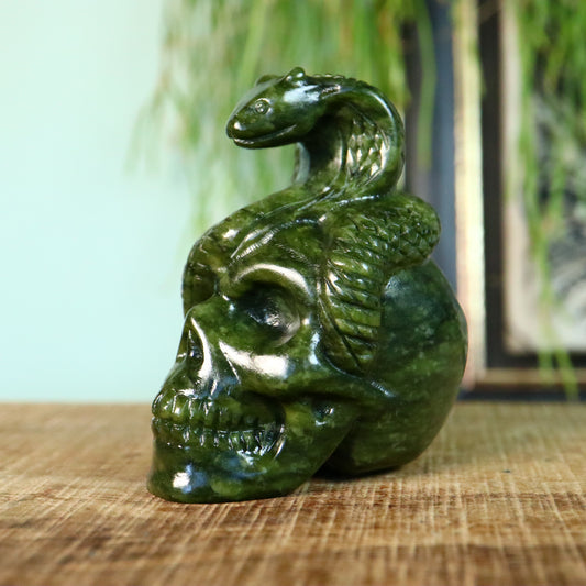 Nefriet Schedel met slang