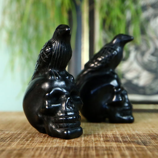 Obsidiaan Raaf op schedel